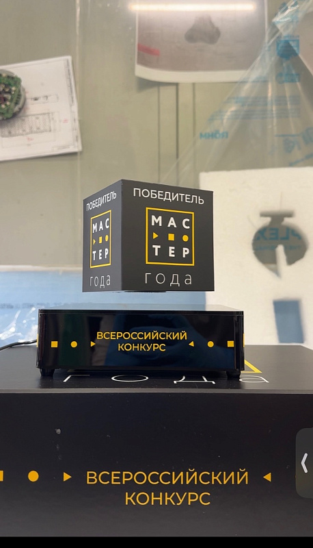 Мастер года